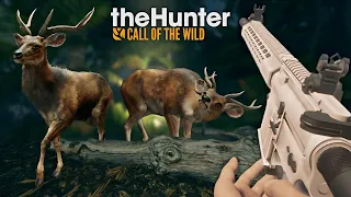 RD AO VIVO JOGANDO COMO UM CAÇADOR NA AUSTRÁLIA! - The Hunter Call Of The Wild