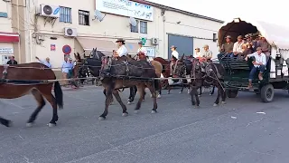 Rocio 2023 camino devuelta Hdad de Moguer