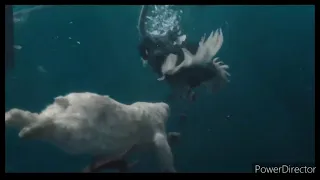 dolittle (2020): yoshi the polar bear underwater scene 2
