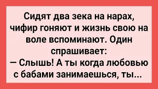 Два Зека Беседуют о Бабах! Сборник Свежих Смешных Жизненных Анекдотов!