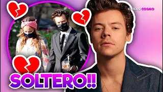 HARRY STYLES ES UN HOMBRE SOLTERO NUEVAMENTE TERMINA SU RELACIÓN CON OLIVIA WILDE