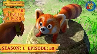 Jungle Book Cartoon Show Full HD - Season 1 Episode 50 - Best In Class