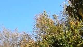 Chinook flying low over neighborhood near Kansas City MO USA