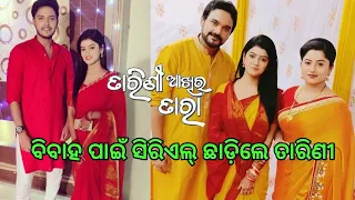 Tarini Akhira Tara Serial Actress Tarini Quit This Serial ll Odia Satya News