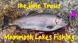 Ikejime Method | Lake Mary | Mammoth Creek Trout fishing | Eastern Sierra Fishing | 2023