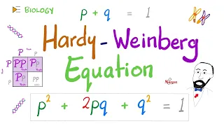 Hardy-Weinberg Equation | Genetics | Biology