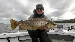 Catching Big Brown Trout Stillwater Fly Fishing | Lake Purrumbete, Victoria