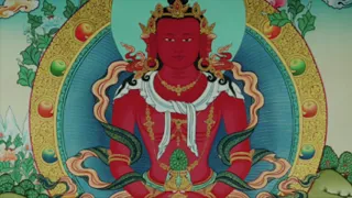 Aparmita Buddha Dharani Chanting for long life, health and well being - Dr Kabindra Bajracharya,