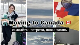 Vlog// Переезд в Канаду 🇨🇦