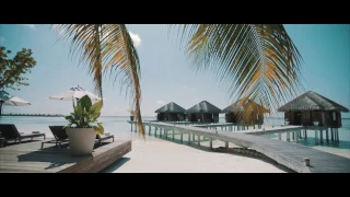 Maldives Cinematic Travel Film