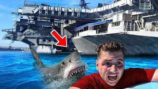 What Happens When US Navy’s Ships and Aircraft Carrier Sailors Gets ATTACKED by SHARKS?