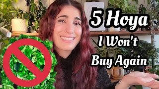 5 Hoya I'll NEVER Buy Again! 🚫 my Hoya no buy list + why I don't like them anymore 🤷🏻‍♀️