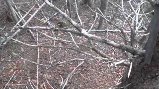 Japanese Garden Machete - limbing, felling, and bucking