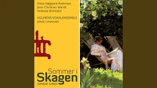 Midsommervisen