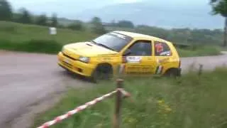 29° Rally Bellunese 2014 [HD]