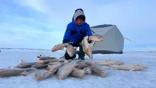 ТОННЫ РЫБЫ ПОДО ЛЬДОМ!!! КАК ЭТО УНЕСТИ?! Наловили и сами в шоке!!! Рыбалка с ночевкой на льду.