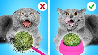 ¡DISPOSITIVOS esenciales para gatos! Cómo esconder mascotas de tus padres por La La Vida Juegos