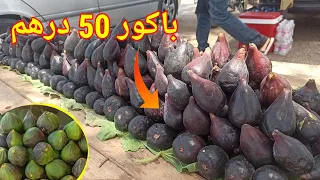 باكور 50 درهم دخول موسم فاكهة التين في منطقة الشرق بركان خيرات البلاد المغرب 🇲🇦