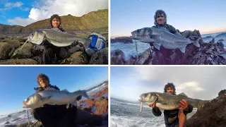 Pêcher Du Bar Aux Leurres Du Bord. Bas Enormes Dans les Vagues! (Partie 1)