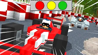 SFIDO BELLAFACCIA A UNA GARA DI FORMULA 1 SU MINECRAFT - ITA