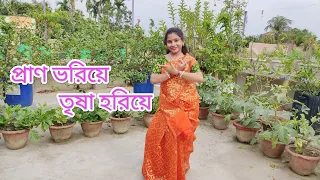 prano bhoriye Trisha horiye|| Rabindra jayanti|| dance cover by Priti dutta