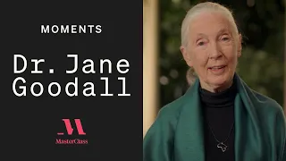 Dr. Jane Goodall: Maybe I Dreamt It, It's Too Exciting | MasterClass Moments | MasterClass