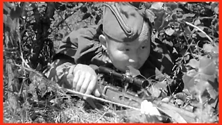 Он охотился на самых искусных снайперов Вермахта. Этот снайпер стал легендой военного времени.