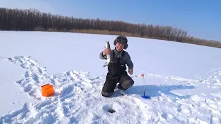 Карбышевский затон. Рыбалка в марте (Павлодар)