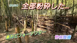 【竹林整備】竹の山を全部粉砕した～