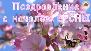 Поздравление с началом ВЕСНЫ