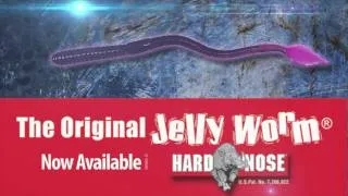 Paul Elias and the World Famous Jelly Worm