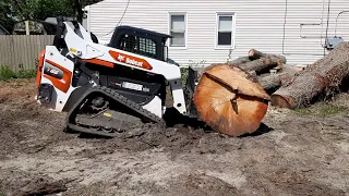 Loading Massive Oak Logs With Bobcat T66