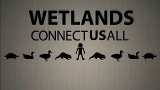 Wetlands Connect Us All