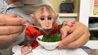 BiBi will poop easier when eating sweet potato leaf soup!