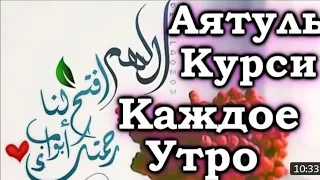 АЯТУЬ КУРСИ КАЖДОЕ УТРО