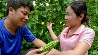 Today I went to the garden to pick bitter melon to sell and he did something for me.