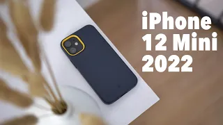 Dulu Tak Laku Kini Diburu! Review iPhone 12 Mini Ditahun 2022