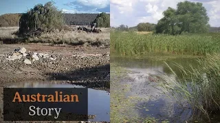 Natural sequence farming: How Peter Andrews rejuvenates drought-struck land | Australian Story