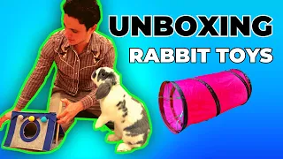 Which of the 4 Toys Did My Bunny Approve? Unboxing New Toys with my adorable Rabbit!