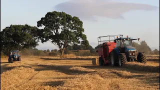 RAW sound- New Holland T7040 and 8970 ROAR across the field, both on balers!