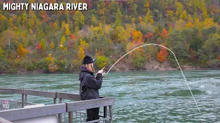 A Very Strange STEELHEAD FISHING Trip at the NIAGRA RIVER