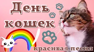 День Кошек! Красивое поздравление с Международным Днем Кошек! Видео открытка.