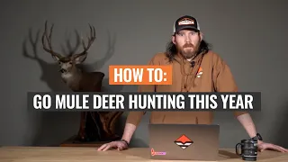 HOW TO: Go Mule Deer Hunting This Year