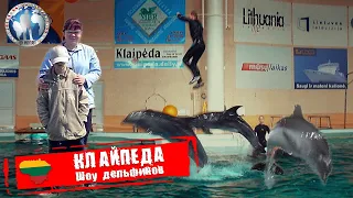 Клайпеда 🇱🇹 Литва. Шоу дельфинов. Морской музей 💯Алекс Авантюрист