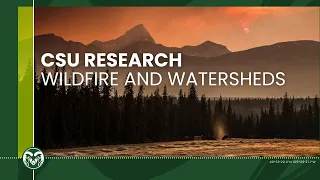 Researchers Study the Impact of Wildfires on Watersheds