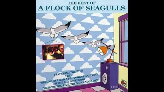 A Flock of Seagulls - The more you live, the more you love (Official Remix by TBb)