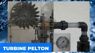 Pelton turbine trainer