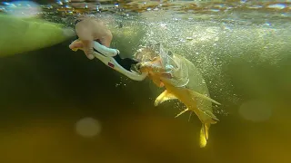 CRAZY How I Caught This Fish!!! Exploring Key Largo - Florida Keys Episode 3