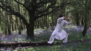 Wudang San Feng Pai Taijiquan Impressions: 13 & 108