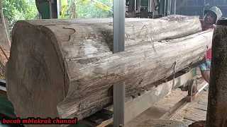 jati super diameter 50cm rajang balok ukuran 10x10 bahan kaki meja .ndonesian teak(Tectona grandis)